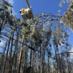 A View from the Top: Tales from Mississippi