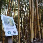 Road trip: Autauga County