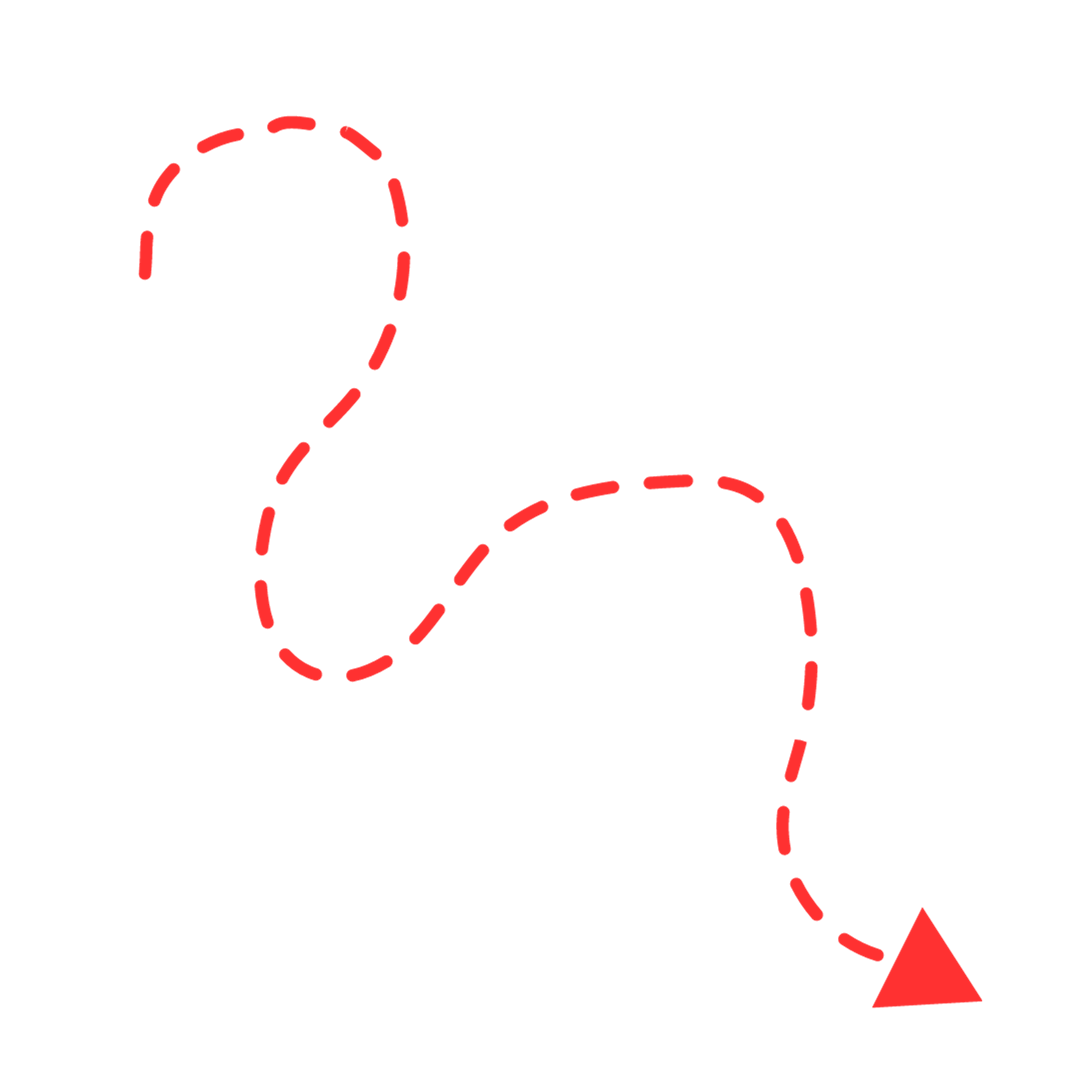 Unsolved inefficiencies: The case of the clogged filter - Central ...
